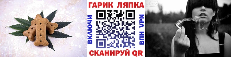 Cannafood конопля  наркотики  Дмитровск 