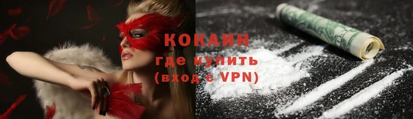 гидра Кинешма