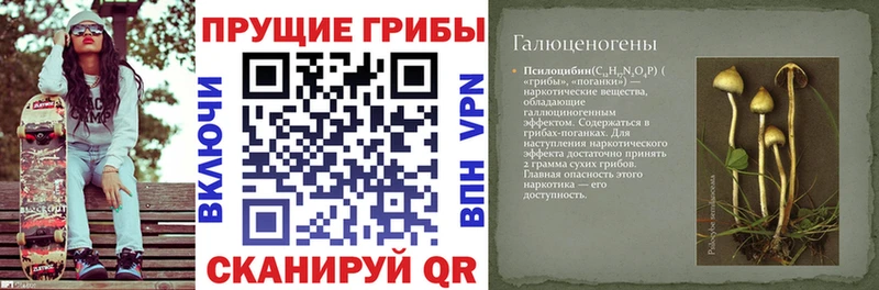 Галлюциногенные грибы ЛСД Дмитровск